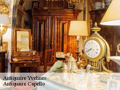 Antiquaire Yvelines 