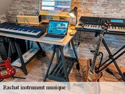 Rachat instrument musique  78640