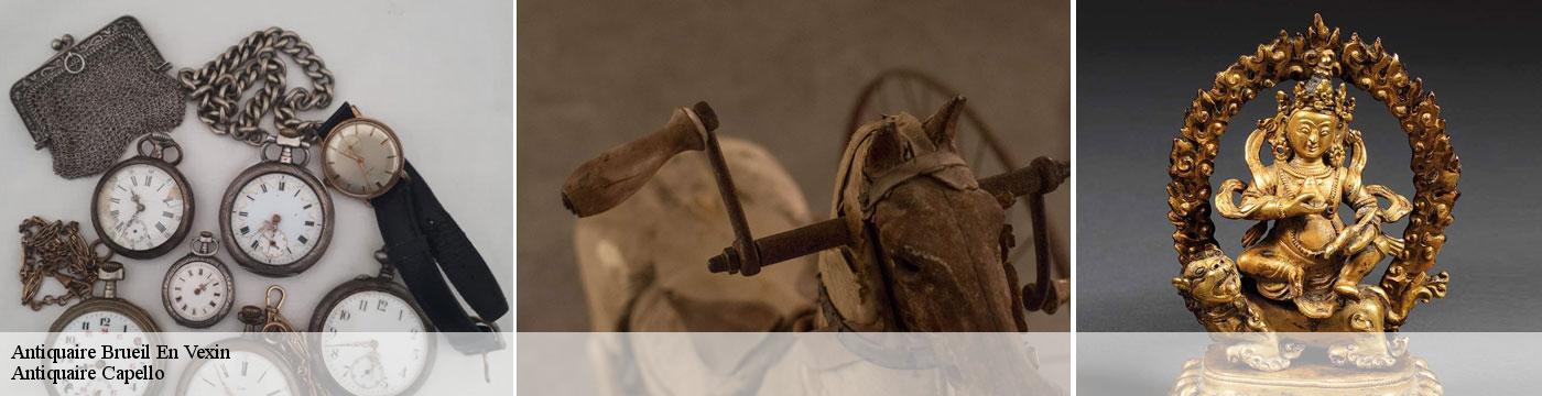 Antiquaire  brueil-en-vexin-78440 Antiquaire Capello