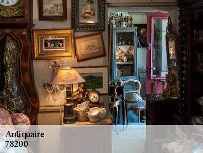 Antiquaire  78200