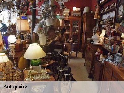 Antiquaire  78910