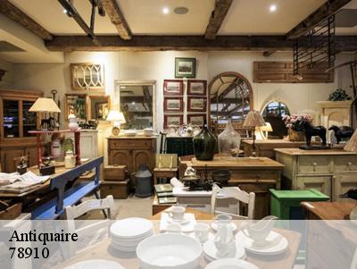 Antiquaire  78910