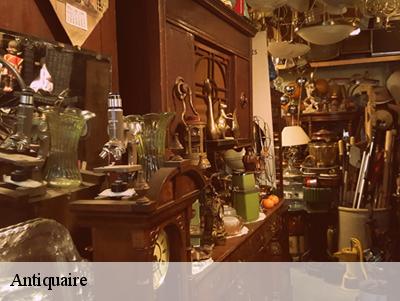 Antiquaire  78910