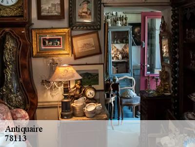 Antiquaire  78113