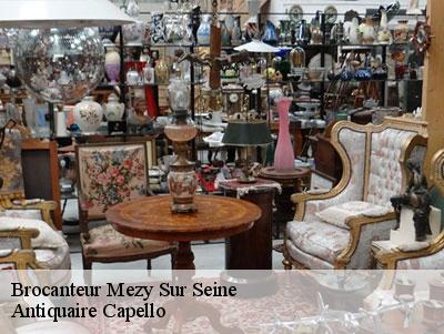 Brocanteur  78250