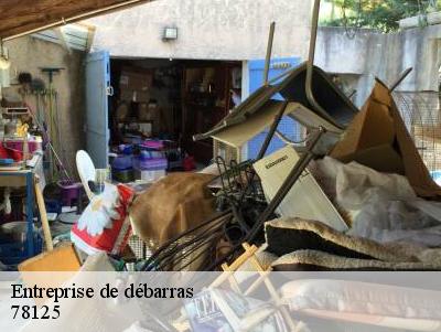 Entreprise de débarras  78125