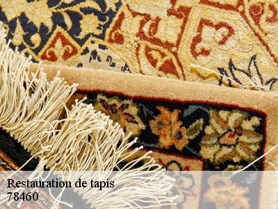 Restauration de tapis  78460