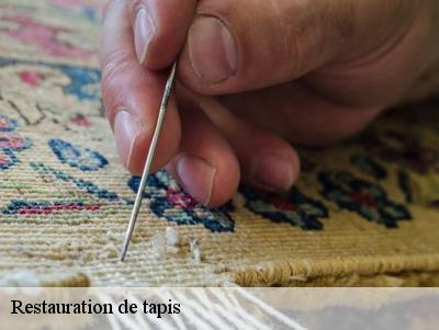 Restauration de tapis  78460