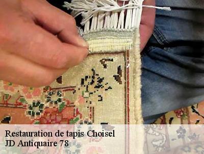 Restauration de tapis  78460