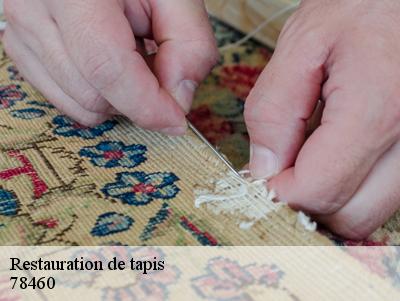 Restauration de tapis  78460