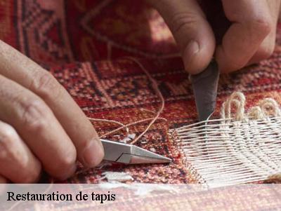Restauration de tapis  78460